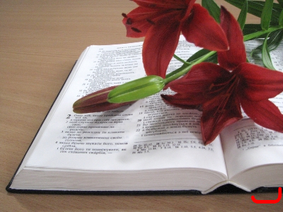Библия и лилии